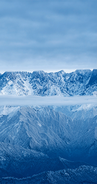 关于太阳成集团tyc151cc